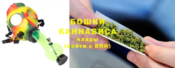 ГАЛЛЮЦИНОГЕННЫЕ ГРИБЫ Заводоуковск