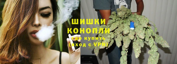 ГАЛЛЮЦИНОГЕННЫЕ ГРИБЫ Заводоуковск